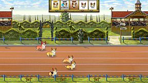 Corgi Race