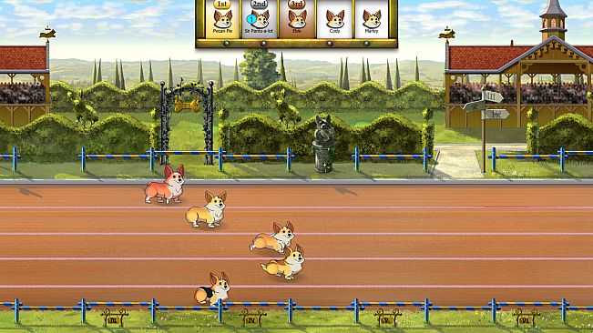 Corgi Race