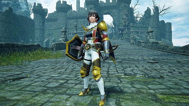 Monster Hunter Rise - "Fiorayne" Hunter layered armor set
