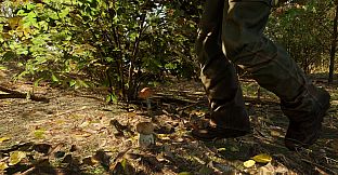 Forest Doesn’t Care