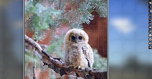 Jigsaw Puzzle Pack - Pixel Puzzles Ultimate: Owls