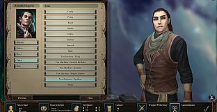 Pillars of Eternity II: Deadfire - Critical Role Pack