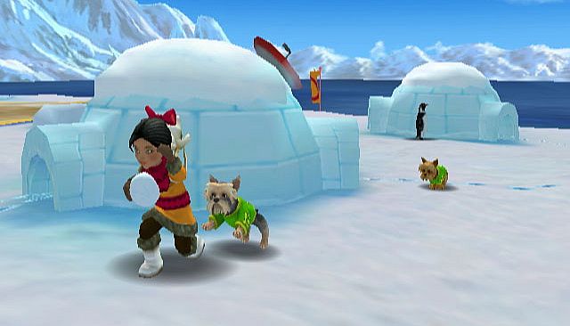 Jerry Rice & Nitus' Dog Football