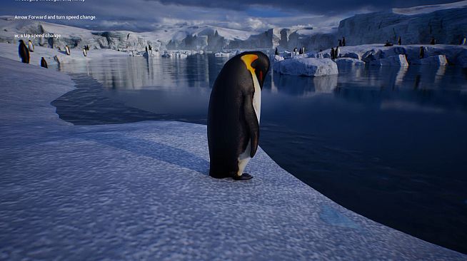 Life of a Penguin