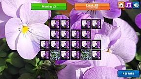 OG Memory: Spring 2K24