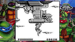 Teenage Mutant Ninja Turtles: The Cowabunga Collection