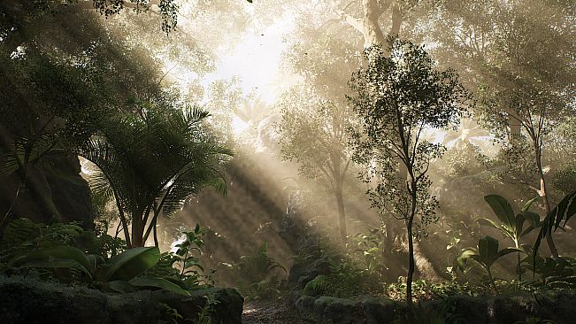 Set Off Fireworks Together