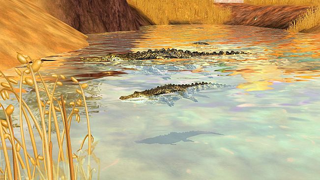 Wildlife Park 3 - Africa