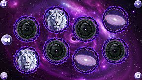 Space Memory: Animals