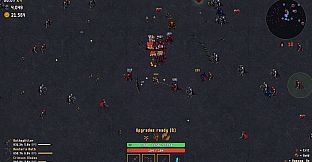 Ashrun Survivors