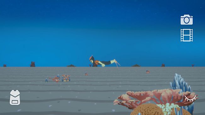 Find the Whales: Español