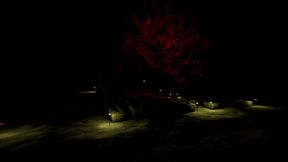 SnaPaul 2 : Anomalies