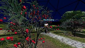 Trapped In The Omniverse