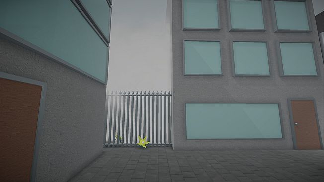 Just an Ordinary Bike Ride