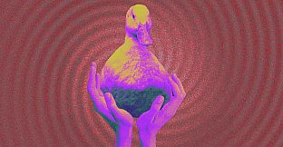 A Road Trip With a Duck