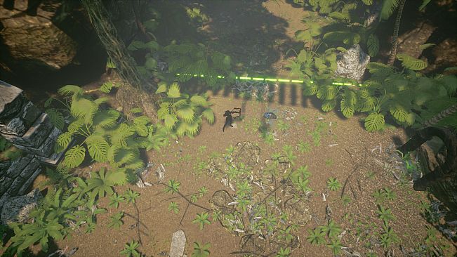 Shades of Rayna - Starter Pets Pack