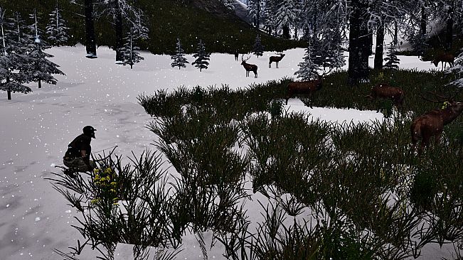 Rise of The Newborns