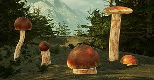 Mushroom Simulator Co-op