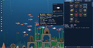 Nanoquarium