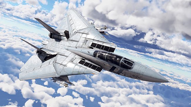 War Thunder - F-14D Bundle