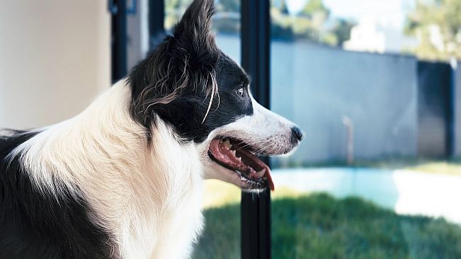 The Empty House - A Dementia Interactive Experience