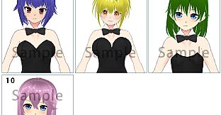 RPG Maker 3D Character Converter - Gee-kun-soft character 08 bunny girl