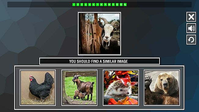 Repeat the image: Animals