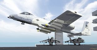 RealFlight Evolution