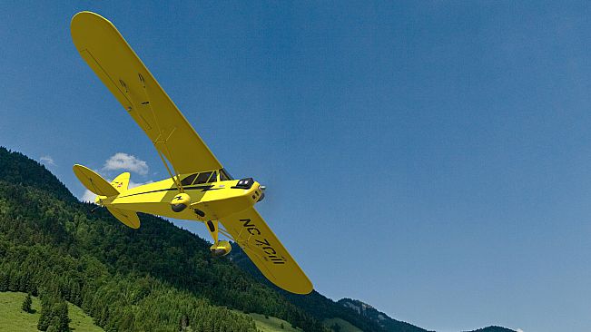 RealFlight Evolution - 2025 Year Content Pass