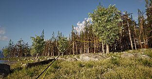 Fly Caster - VR Fly Fishing