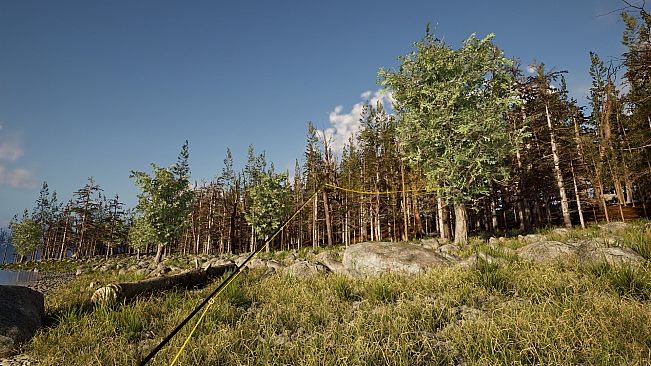 Fly Caster - VR Fly Fishing