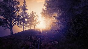 The Butterfly Sign: Human Error