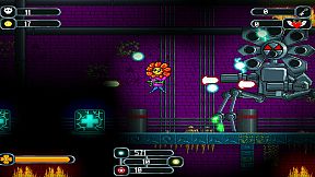 The Valley of Super Flowers