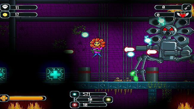 The Valley of Super Flowers