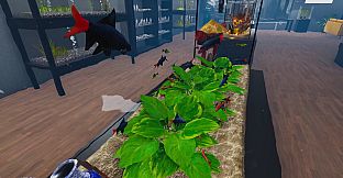 Aquarist - Asian Fish DLC