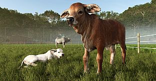 Farming Simulator 25: Beans & Alpacas Expansion