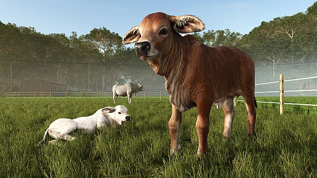 Farming Simulator 25: Beans & Alpacas Expansion
