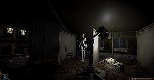 Porcelain
