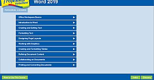 Professor Teaches Word 2019
