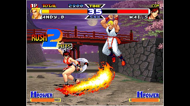 ACA NEOGEO REAL BOUT FATAL FURY SPECIAL