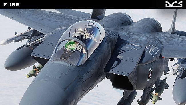 DCS: F-15E