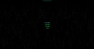 PacketRunner: Digital Resistance