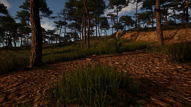Grass Life Sim 2