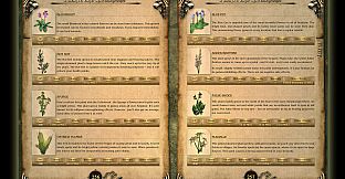 Two Worlds Strategy Guide