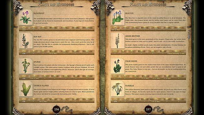 Two Worlds Strategy Guide