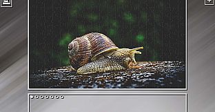 Super Jigsaw Puzzle: Generations - Random Animals Puzzles