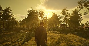 Island of the Missing