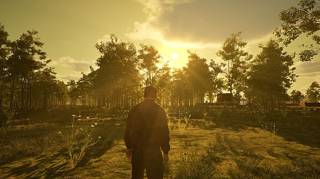 Island of the Missing