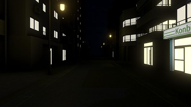 The Way Home at Night