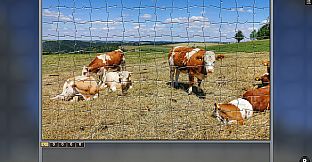 Jigsaw Puzzle Pack - Pixel Puzzles Ultimate Germany 2